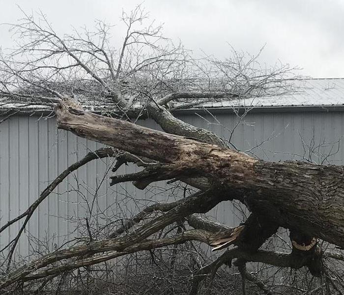 Large tree limb laying on top of grey colored commercial building, metal roof building is also grey