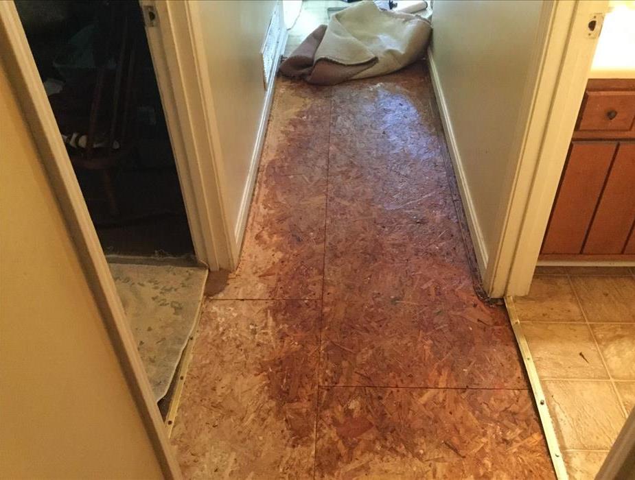 hallway with ripped up carpet. The plywood, subflooring is saturated from a busted pipe.