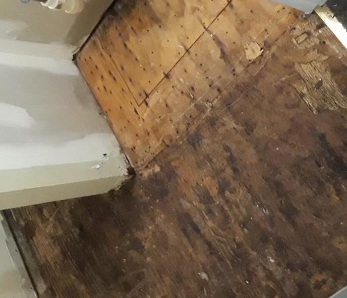 Mold damage to the floor in the restroom.